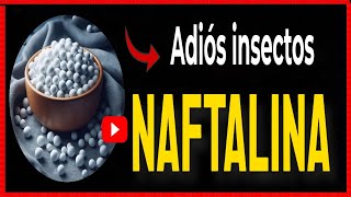 🔴 NAFTALINA para que sirve Secretos Revelados para Deshacerte de Plagas [upl. by Iraj657]