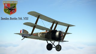 IL2 Flying Circus Sunday Battles Vol VIII [upl. by Hadwin625]