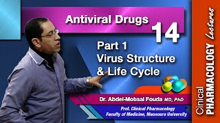 Antiviral Chemotherapy  Part 1 virus structure and life cycle [upl. by Joann]