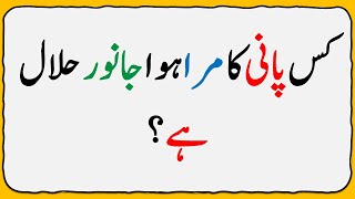 Islamic Common Sense Paheliyan in UrduHindi  Riddles in Hindi  General Knowledge Quiz Test015 [upl. by Ahsiekim460]