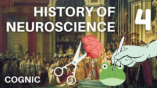 Big Brain Science in the 1800s History of Neuroscience 4 [upl. by Porush137]