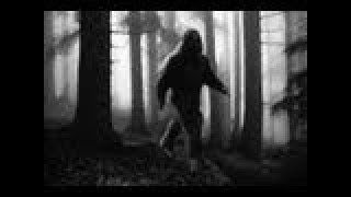 Bigfoot  Monster of Whitehall Documentary [upl. by Waldron]