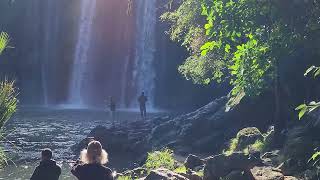 Whangarei Falls [upl. by Creigh]