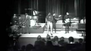 Otis Redding live  Satisfaction [upl. by Esilahc]