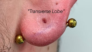 quotTRANSVERSE LOBE PIERCINGquot 💉👂 [upl. by Maurits108]