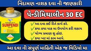 પેન્ડીમેથાલિન 30 EC દવા ની કાર્ય પદ્ધતી  pendimethalin 30 ec Herbicide [upl. by Pernick32]