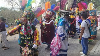 BANDA VIENTO NEGRO EN CARNAVAL DE CHINELOS EN ANENECUILCO 2024 [upl. by Netneuq]