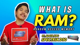 What is RAM ft ADATA XPG Spectrix D50 ROG RGB DDR4 Memory [upl. by Madai892]