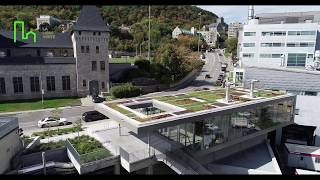 Toiture végétale  Annexe Ferrier  Université McGill [upl. by Brok449]