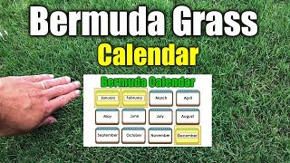 Bermuda Grass Calendar Please See New Calendar in Description [upl. by Beberg]