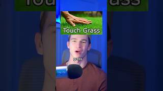 Touch Grass Level EXTREME [upl. by Shulem]