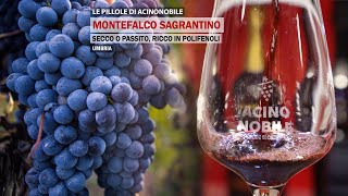 Montefalco Sagrantino  Il vino fruttato Secco o Passito  Umbria [upl. by Bucky456]