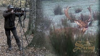 Fallow Deer  hunting in Croatia 2018  Damwild  Jagd in Kroatien 2018 [upl. by Geier]