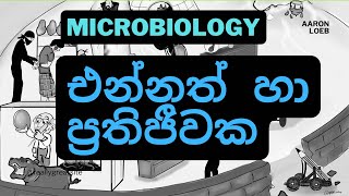 Microbiology  එන්නත් හා ප්‍රතිජීවක Vaccines and antibiotics [upl. by Noeht]