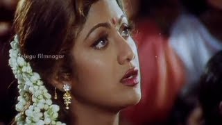 Sahasa Veerudu Sagara Kanya Scenes  Shilpa Shetty warned by a witch  Venkatesh [upl. by Hoyt]