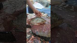 mosambi Kirti hai fishcooking 🇧🇩🇧🇩🇧🇩🇧🇩🇧🇩 [upl. by Leumhs]