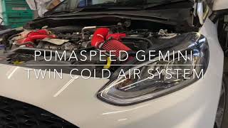 Fiesta MK8 10 Pumaspeed Gemini Air Filter Kit Install [upl. by Nidroj]