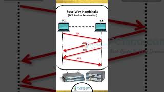 THE 3 WAY HANDSHAKE✨✨✨  Network Lessons  IPCiscocom ccna [upl. by Wight]