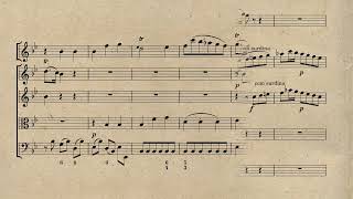 Quantz  Flute Concerto in G minor  Score [upl. by Kcered]