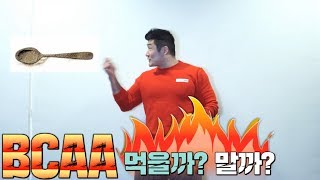 근육을 키우려고 BCAA 보충제 먹을까 말까 고민 중이라면 꼭시청 트리거15초 [upl. by Garth]