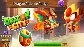 DRAGÃO ARDENTE ANTIGO 😁 NÍVEL 70 😌PLATINA 3💪ANALISANDO 😍 DRAGON CITY [upl. by Eniamej]