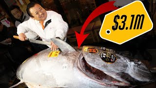 Why Is Bluefin Tuna So Expensive [upl. by Megdal183]