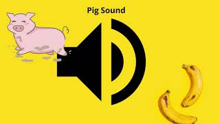 Pig sound effect [upl. by Corry666]