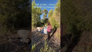 An Amazing FREE Campsite near Great Sand Dunes National Park Colorado and Mt Blanca [upl. by Chadd]