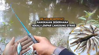 ASLI BRO IKAN INI SANGAT BANYAK TAPI TAK ADA YANG MAU MANCING IKAN INI MICRO FISHING [upl. by Ahsekar29]