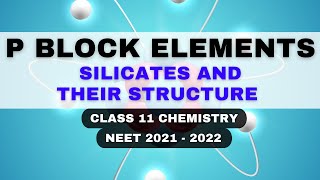 P Block  Silicates and their Structure  Carbon Family  Class 11 Chemistry  NEET 2021  2022 [upl. by Pruchno]