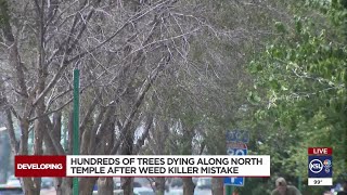 Salt Lake City worker accidentally poisons hundreds of trees in Fairpark area [upl. by Jillana]