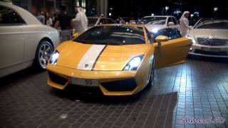 Lamborghini LP5502 Balboni  HUGE Acceleration and Revs [upl. by Nilrem]