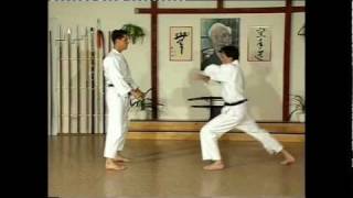 Taikyoku nidan amp Kihon ippon kumite [upl. by Yklam]