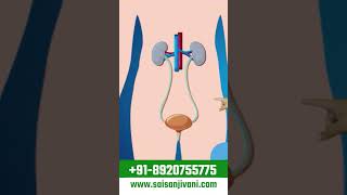 जाने क्यों आती है किडनी में सूजन  Kidney Swelling Treatment [upl. by Ayotak]