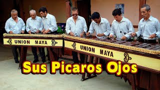 Sus picaros ojos  Marimba Union Maya [upl. by Perry]