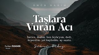 Şükrü Erbaş  Taşlara Vuran Acı Şiir [upl. by Ahsiemal]