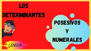 Los DETERMINANTES POSESIVOS Y NUMERALES [upl. by Ziguard]