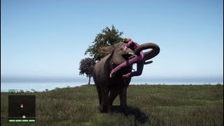 All Animals vs Humans Far Cry 4 [upl. by Zipporah]