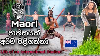 Maori ජාතිකයන් අපිව පිලිගත්තා🇳🇿🇱🇰 International Student  Life With KC [upl. by Lig]