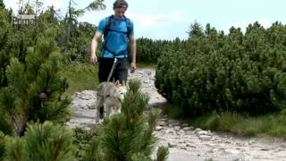 Prima SVĚT DogTrekking Maraton [upl. by Nivri]