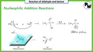 Nucleophilic addition reaction mechanism class 12 [upl. by Iver]