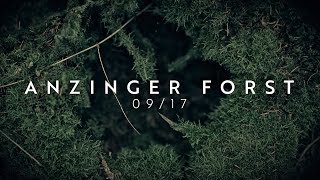 Sony a7III amp EF 90mm Macro  HLG 3 cinematic color grading  Anzinger Forst [upl. by Berkin]