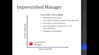 Blake Mouton Leadership Theory [upl. by Assyral]