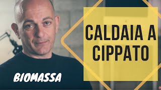 La caldaia a cippato è una valida alternativa alla caldaia a pellet o legna [upl. by Anik84]