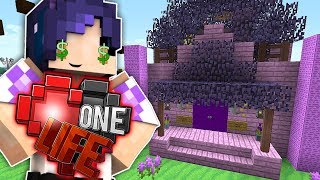 The LaurenZside Starter Pack Shop is OPEN  Ep 13  One Life Minecraft SMP [upl. by Allayne278]