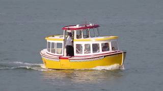 quotLil Taxiquot San Francisco Water Taxi Pier 15 Embarcadero San Francisco California [upl. by Harifaz744]