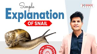 Simple explanation of Snail sciencebyneerajjangid sciencemagnet [upl. by Lebana368]