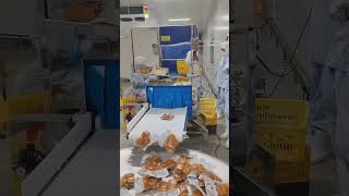 Food X Ray Inspection Machine High Sensitivity For Nuts [upl. by Judy]