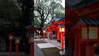 Japanese shrine Ana hachimangu Tokyo walking tokyo japan shrine travel [upl. by Aklim]