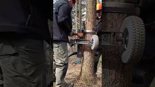 Best Automatic Tree Pruning Device Ever [upl. by Elmajian]